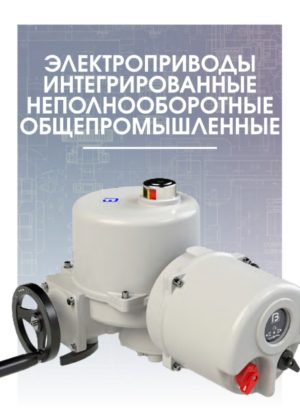 skrinshot-21-06-2023-143611-300x420.jpg