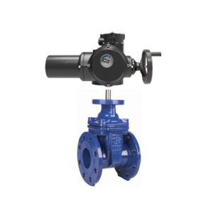 РАШВОРК 102/103 Задвижки чугунные клиновые с электроприводом HELI HEM IP68 -40C